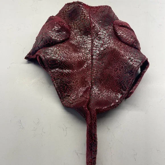 Animal Planet Raptor Dog Costume, Size Small, ‎ Item# PET20109 - Picture 9 of 13